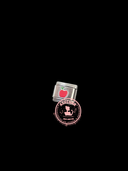 Variedad de charms