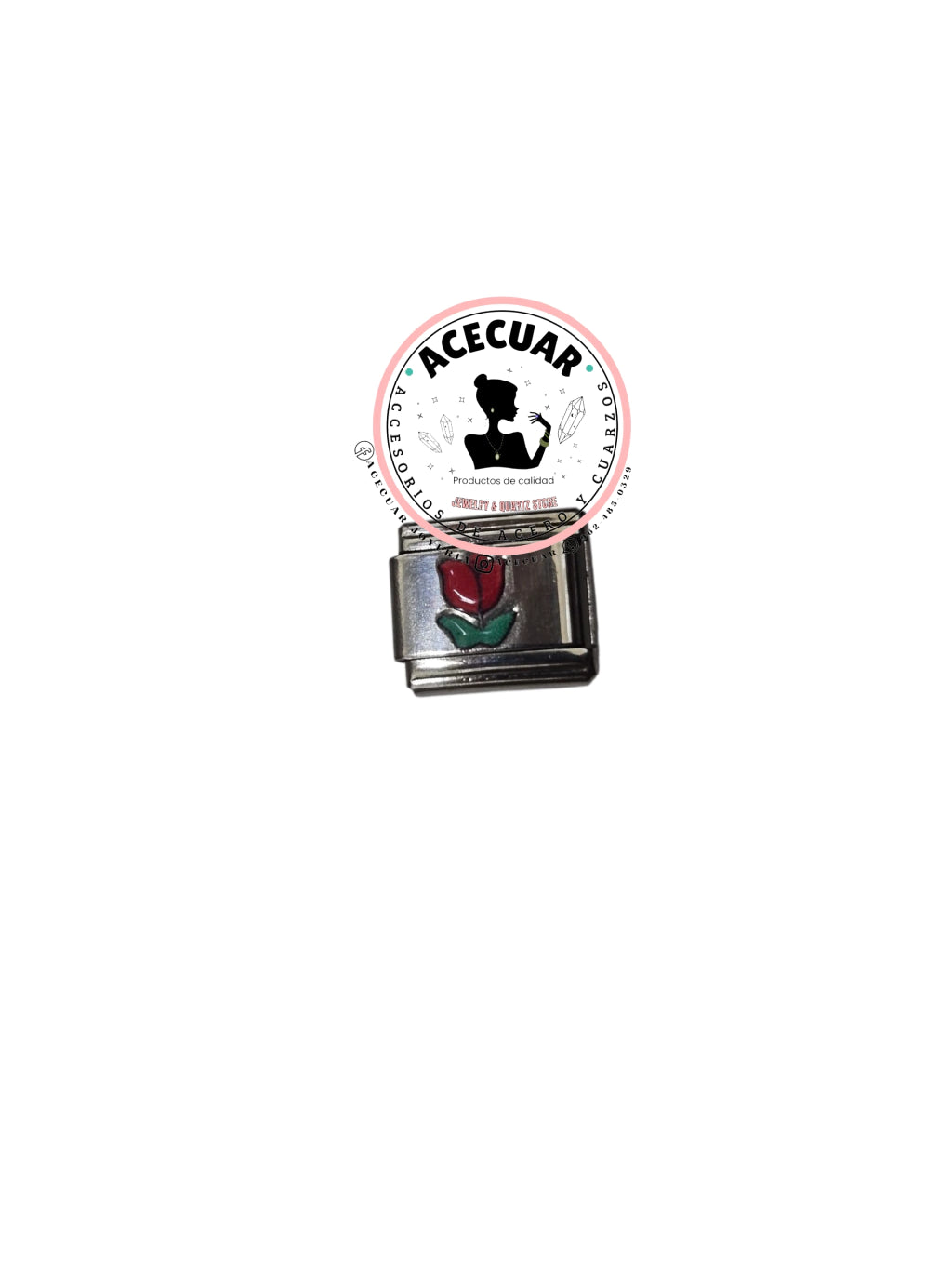 Variedad de charms