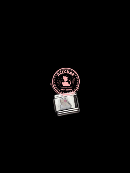 Variedad de charms