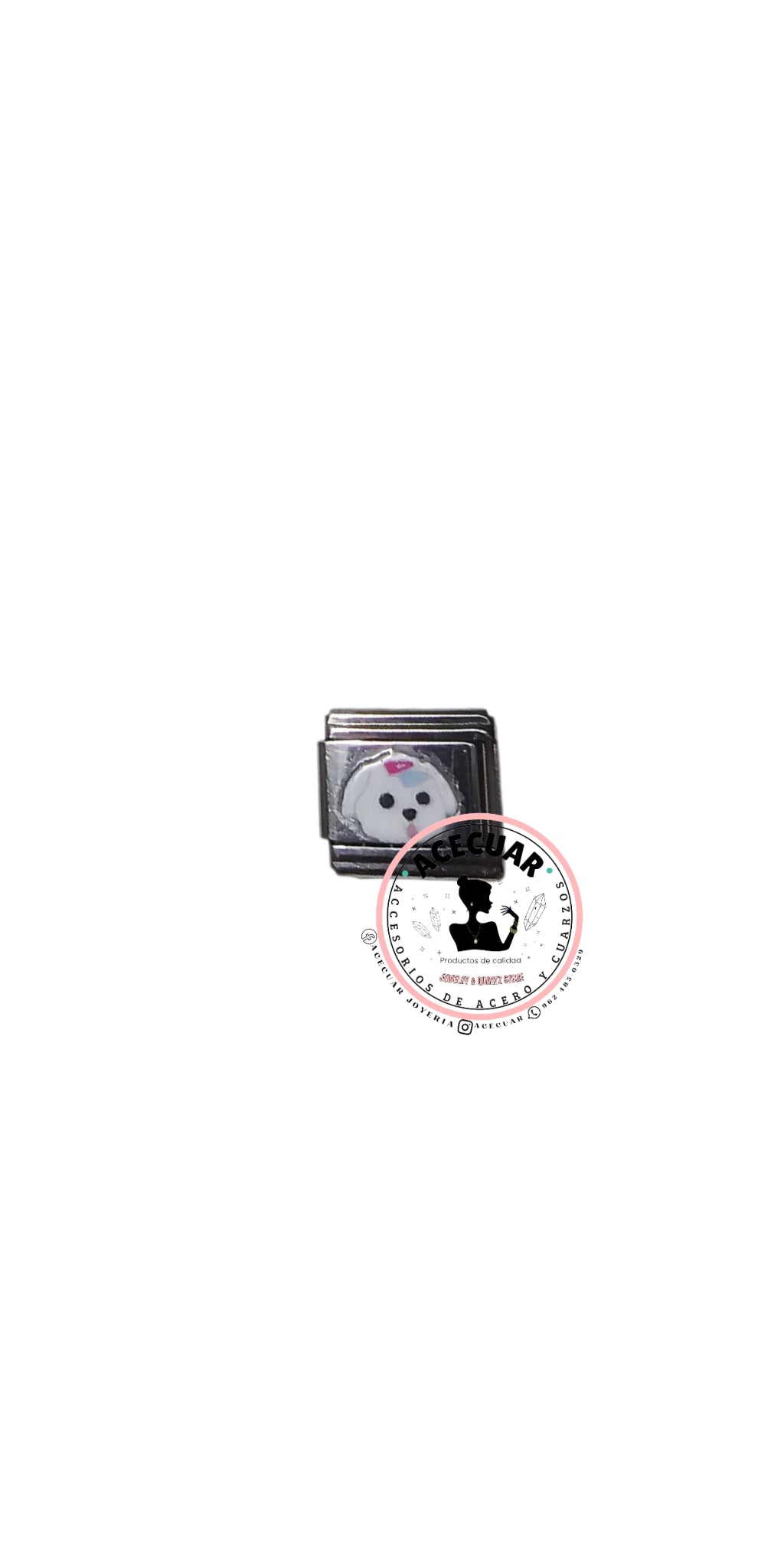 Variedad de charms