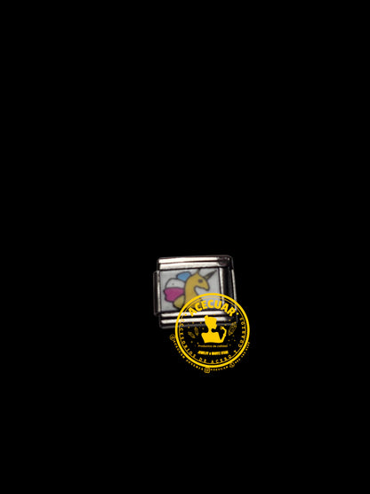 Variedad de charms