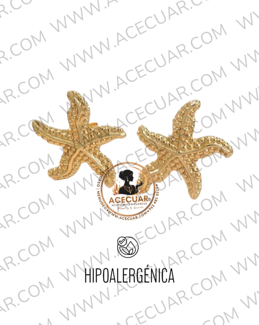 Summer star aretes