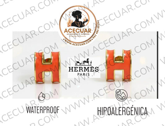Aretes Hermes